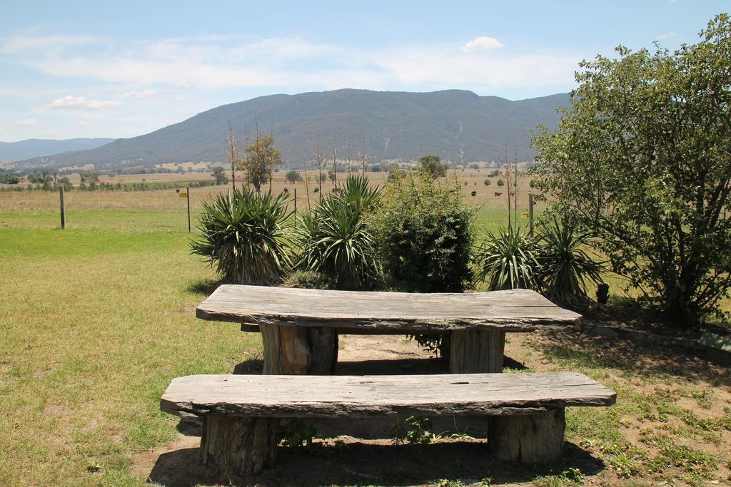 Corryong Mountain View Motel المظهر الخارجي الصورة